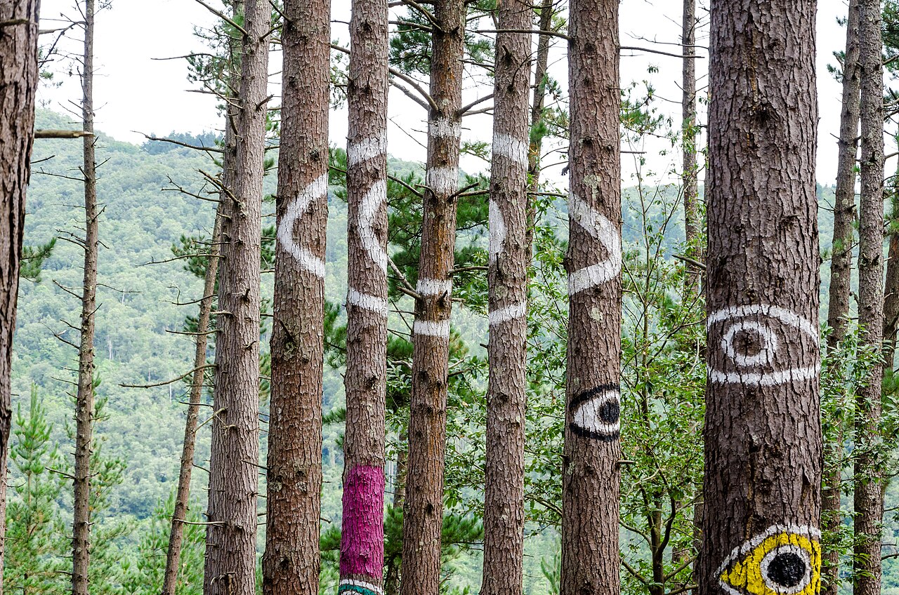 Figuras de colores en los pinos del Bosque de Oma