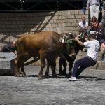 Herri kirolak: el deporte rural vasco que convirtió el trabajo del campo en competición