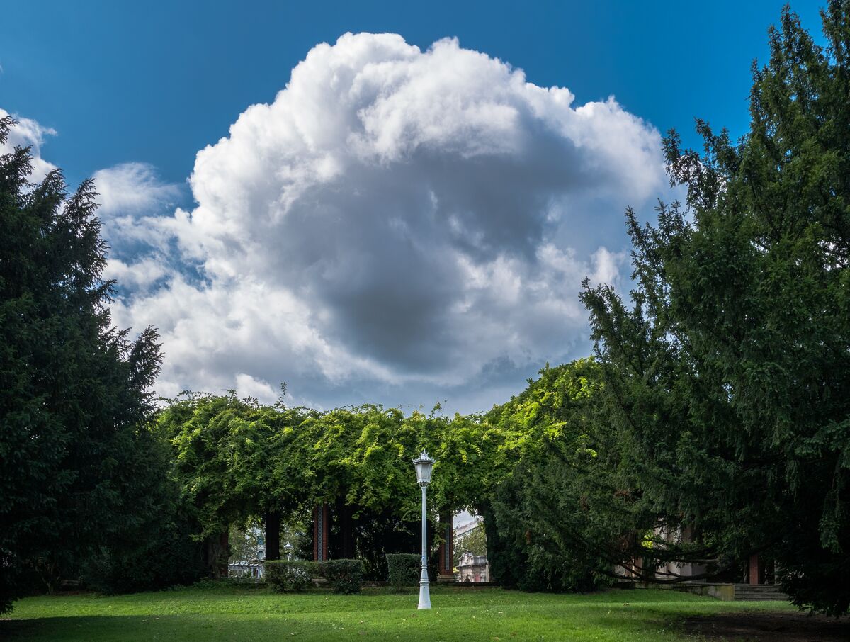 Farola y arbolado del parque de Doña Casilda, junto al museo