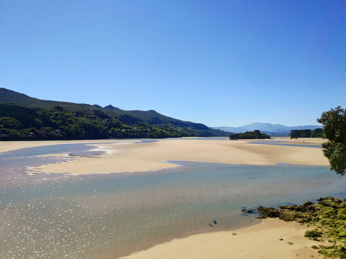Marismas del estuario del río Oka, en la reserva de Urdaibai