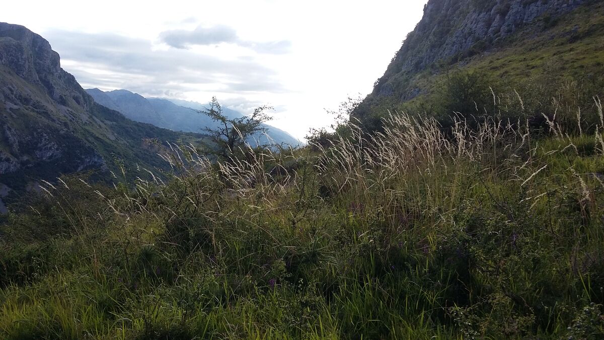 Paisaje del macizo de Armañón, en el término de Karrantza